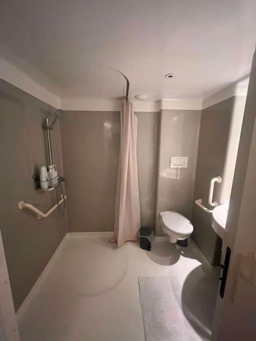 Nid Douillet De La Pie Apartment Strasbourg Luaran gambar